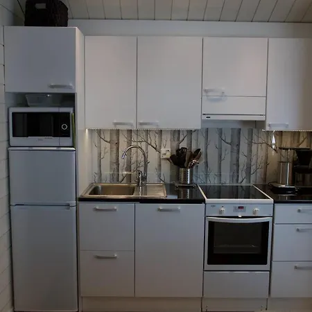 Marjaniemi - Rantasumppu 2 With Sauna & Air Conditioning * 하일루오토